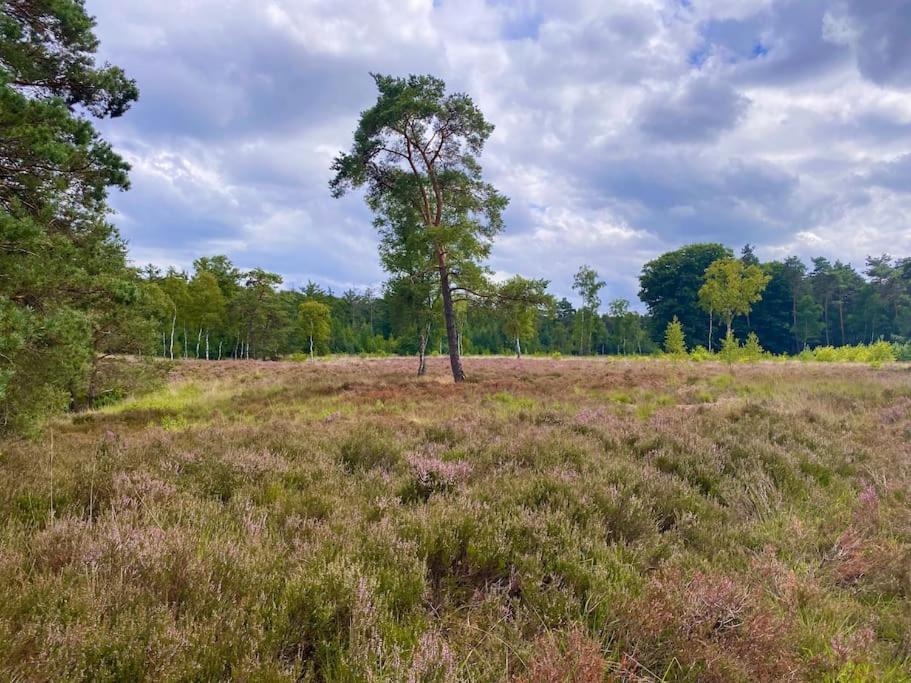 Knus Huisje Op Kindvriendelijk Park Met Zwembad Otterlo Exterior photo